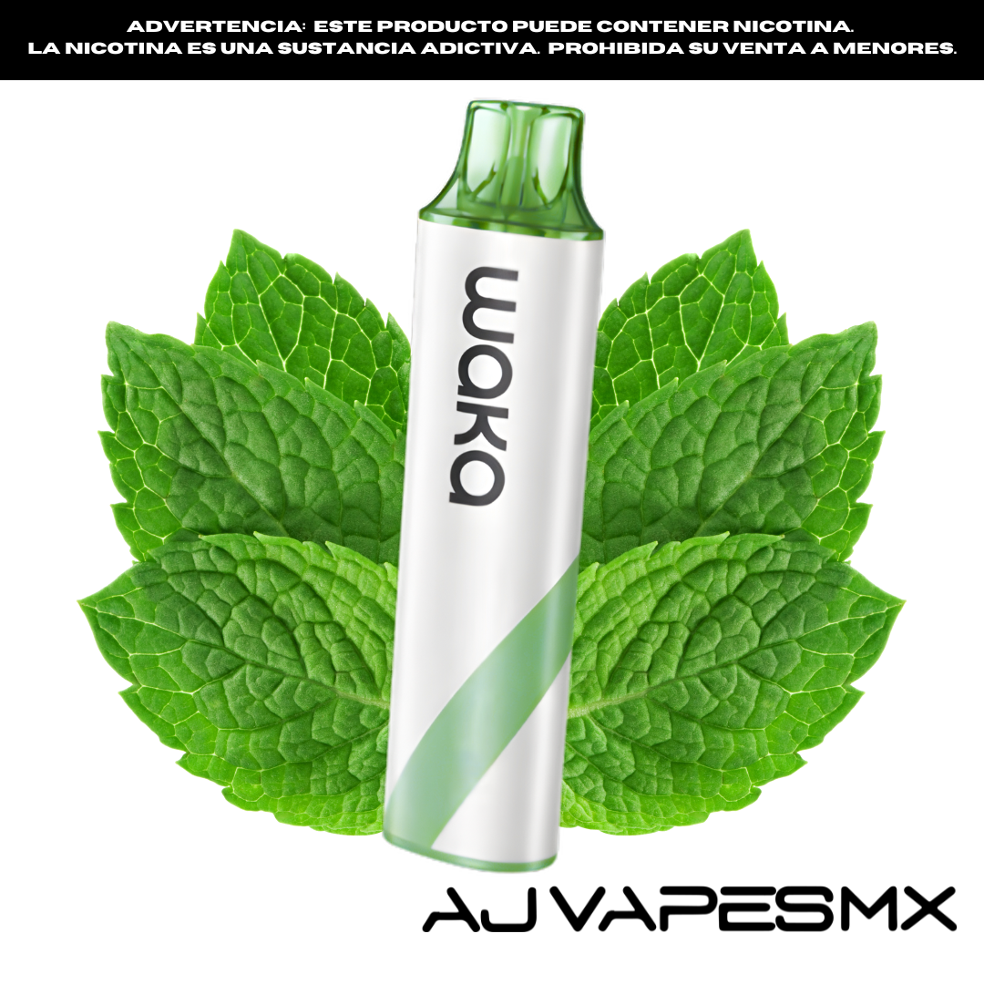 Waka GO Pocket Disposable 10,000 Puffs | WAKA