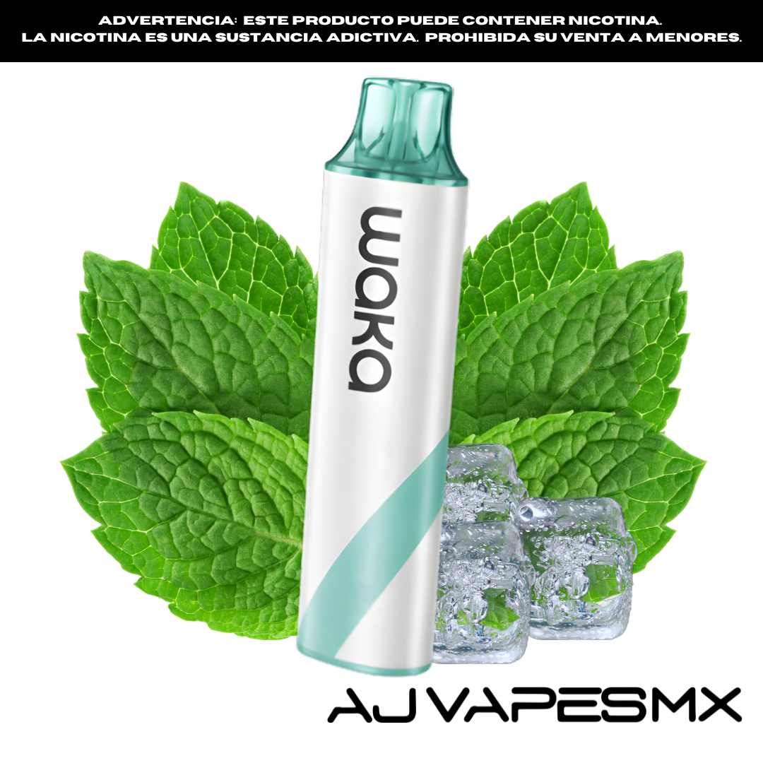 Waka GO Pocket Disposable 10,000 Puffs | WAKA