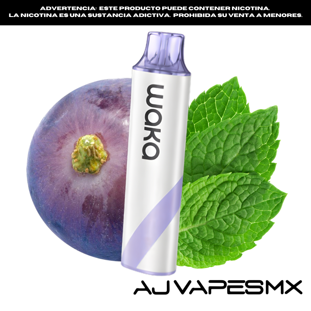 Waka GO Pocket Disposable 10,000 Puffs | WAKA