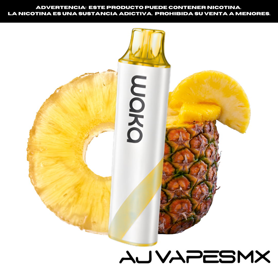 Waka GO Pocket Disposable 10,000 Puffs | WAKA